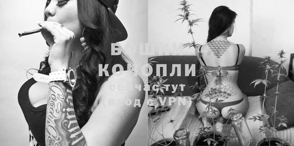 дурь Алзамай
