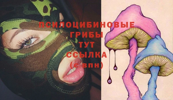 apvp Алексеевка