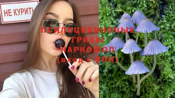 apvp Алексеевка
