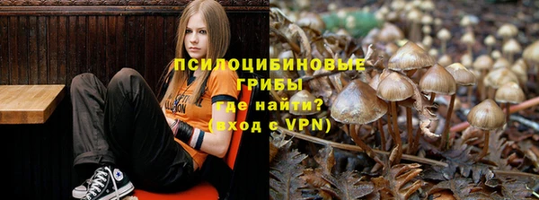 стаф Алексин