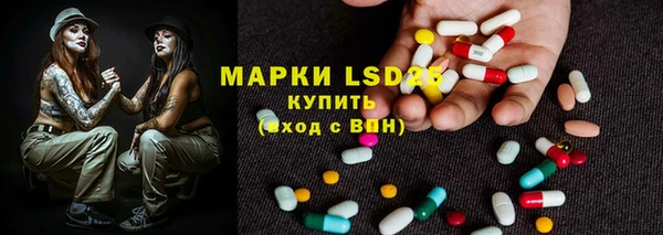 стаф Алексин