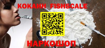 шишки Гусиноозёрск