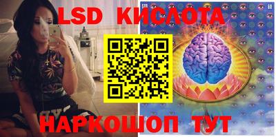 шишки Гусиноозёрск