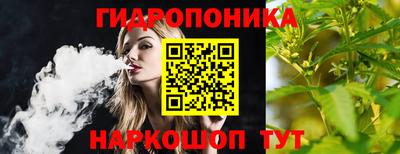 гидропоника Гусь-Хрустальный