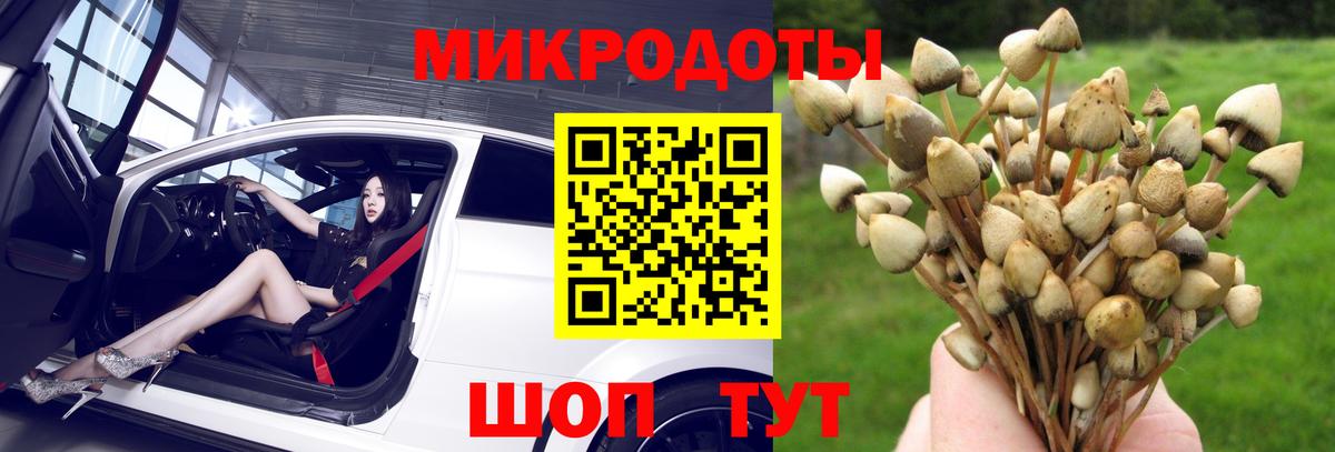 где продают   Псилоцибиновые грибы Magic Shrooms  Галлюциногенные грибы Magic Shrooms  Вход с VPN  Коркино 